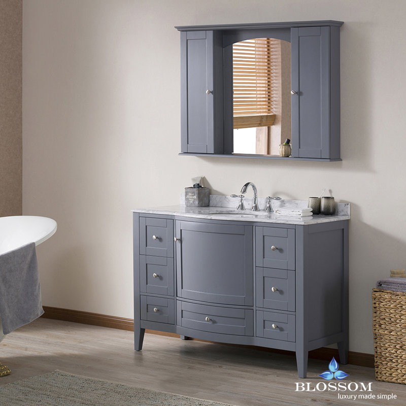 Darby Home Co Glendale 48" Single Bathroom Vanity Set with Mirror Wayfair