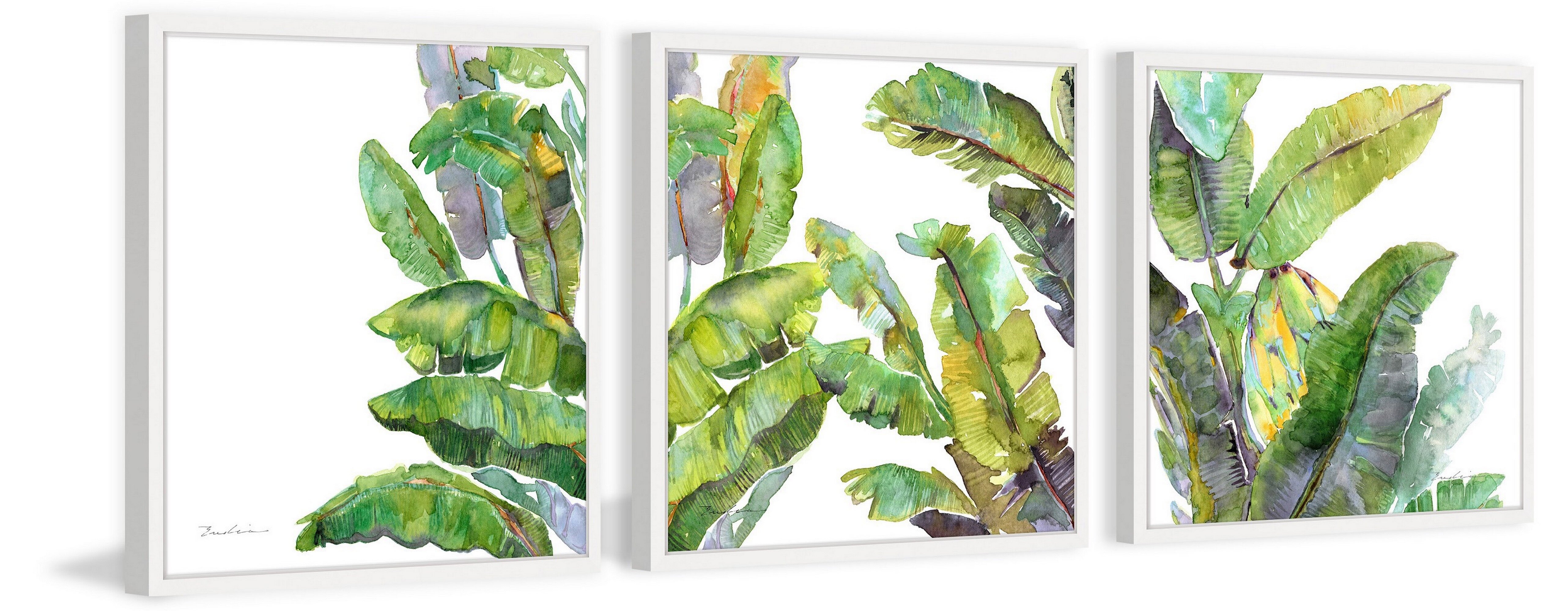 Bay Isle Home Oh Banana Leaves Iii Triptych By Evelia Watercolor Painting Framed Print Set Wayfair