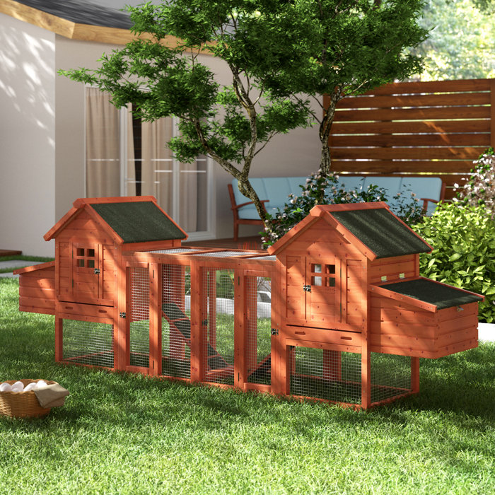 Archie Oscar Freddie Duplex Chicken Coop With Outdoor Run
