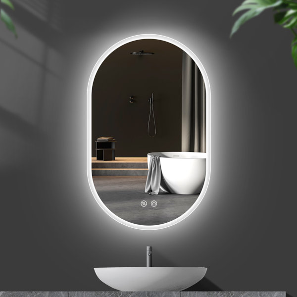 Orren Ellis Oval LED Wall-Mounted Bathroom Vanity Mirror with Anti-Fog ...