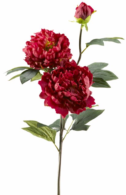 House Of Hampton Peony Stem Wayfair