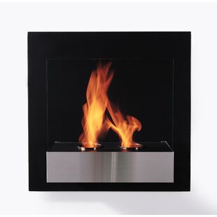 Wall Mounted Ethanol Fireplace By BioFlame