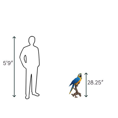 Macaw Statue