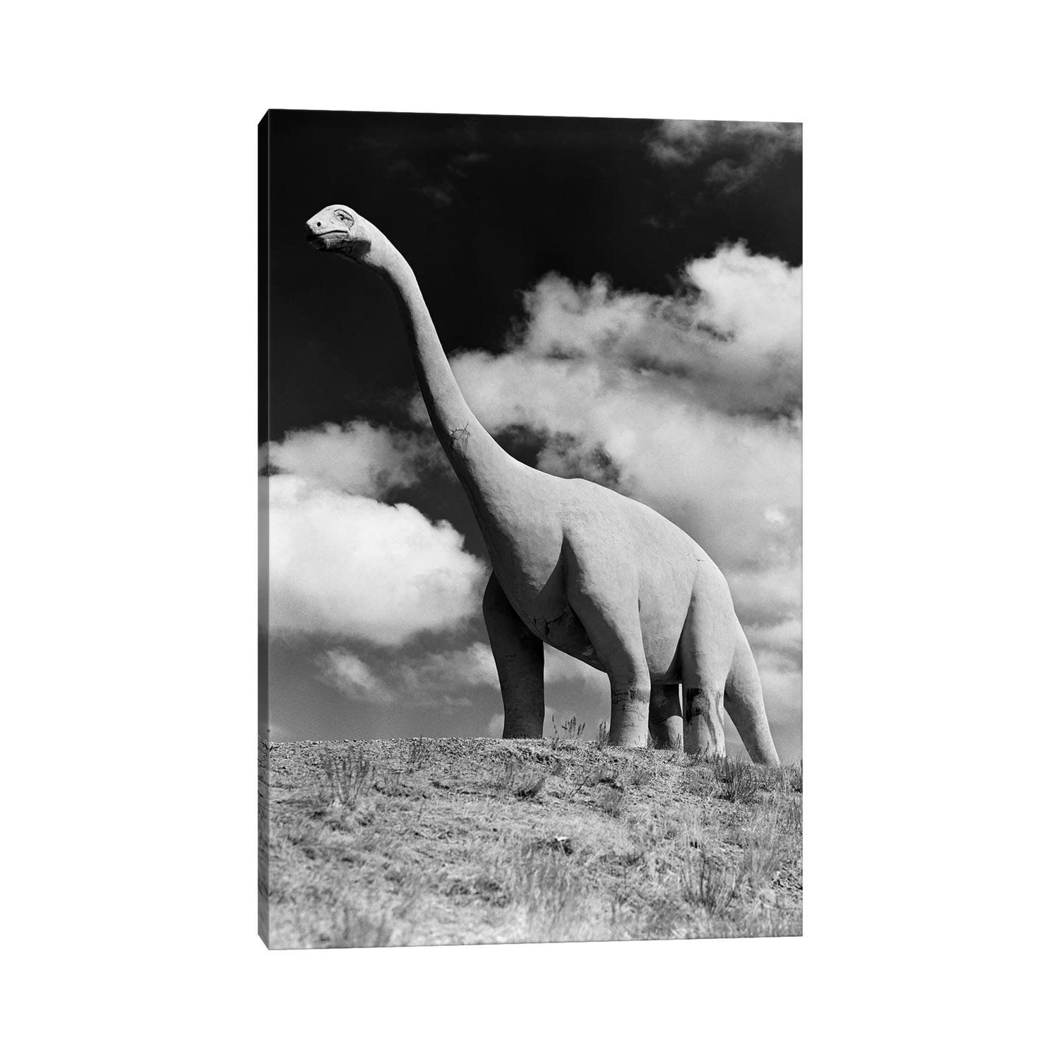 Latitude Run 1950S LifeSize Statue Of Extinct Long Neck Gigantic