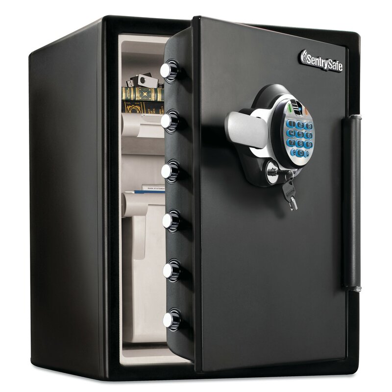 Sentrysafe Sentry Fire File Safe With Biometric Lock Wayfair