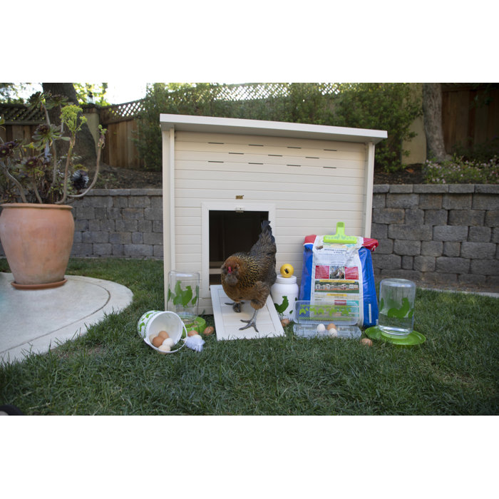 Tucker Murphy Pet Achilles Feeders And Egg Cartons Wayfair Ca