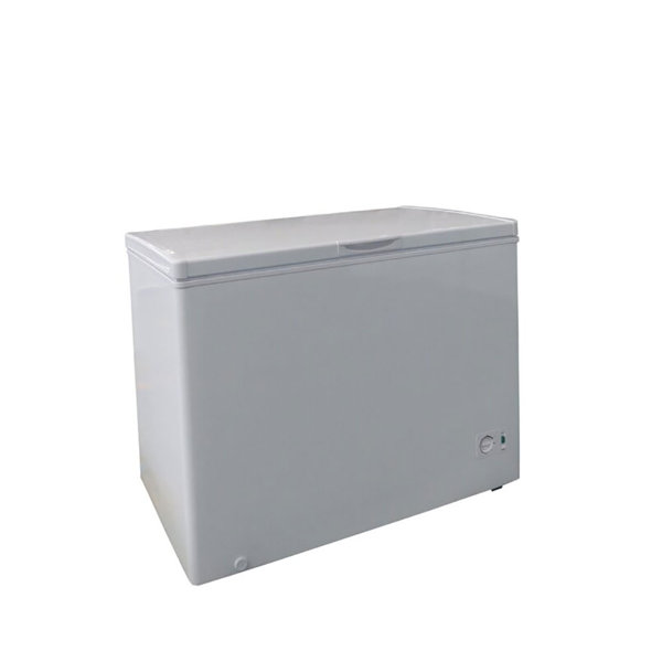 garage ready chest freezer 10 cu ft