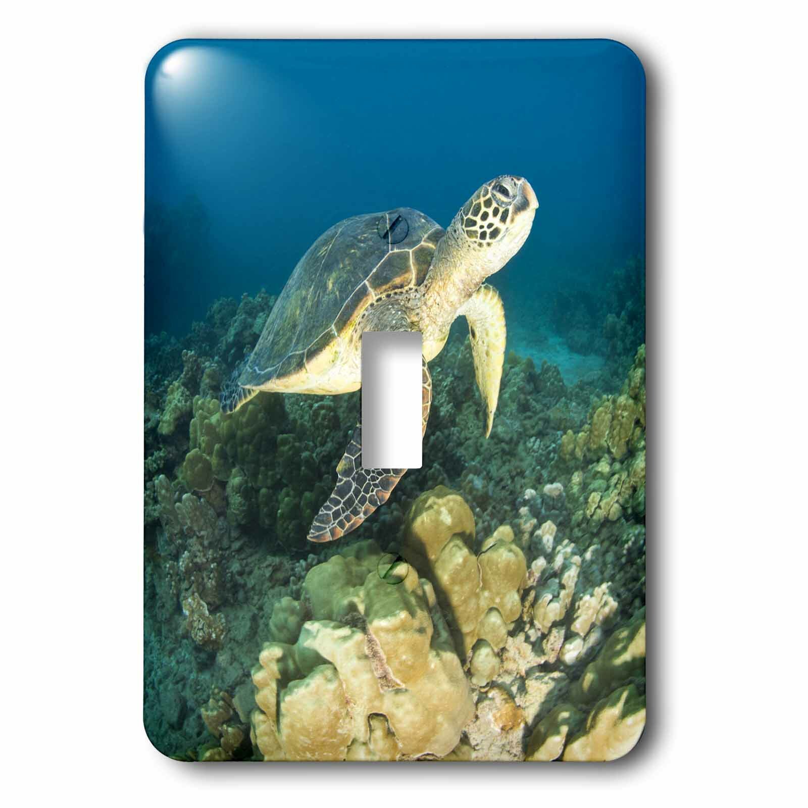 DOLPHINS SEA TURTLE OCEAN LIFE LIGHT SWITCH COVER PLATE    HOME DECOR 