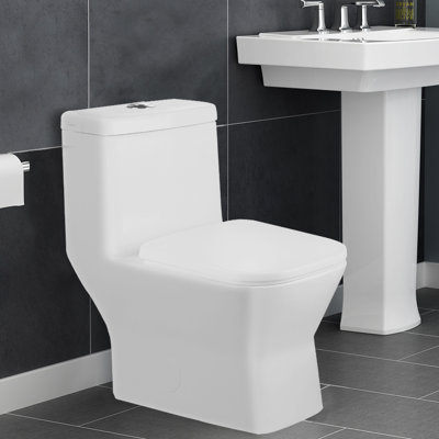 Aqualife Corp Potomac 1.28 GPF Elongated One-Piece Toilet (Seat Included)
