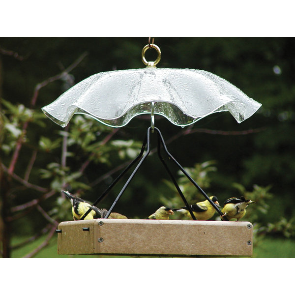 Weather Guard For Bird Feeder Wayfair