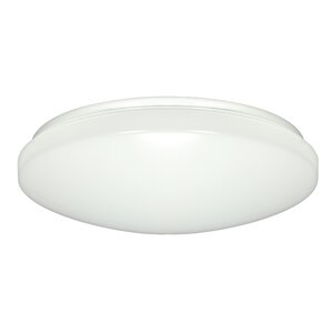 Briony 1-Light Flush Mount