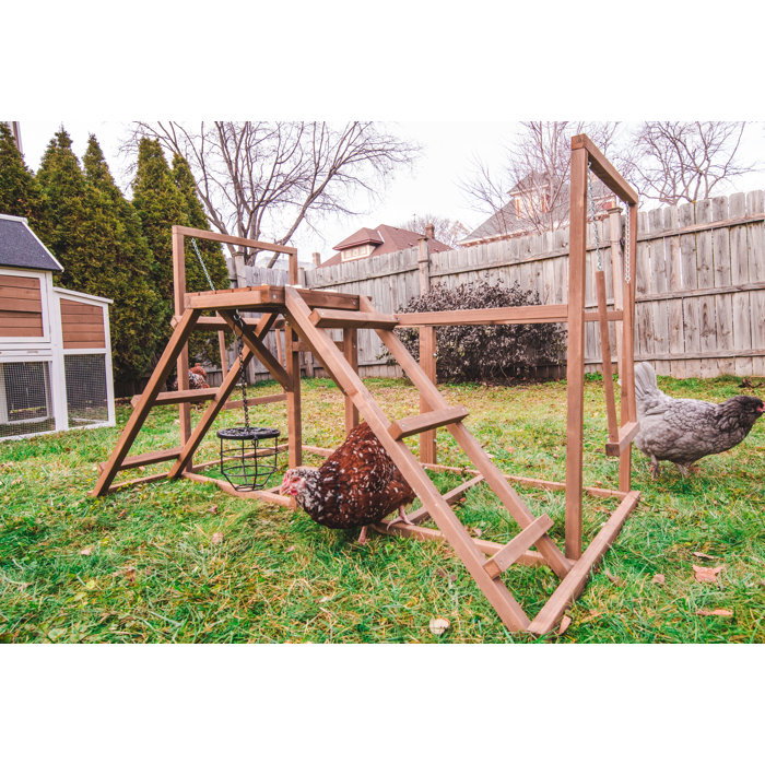 Coops Feathers Chicken Play Centre Wtreat Basket Large 602 X 3858 X 374 2 Swings 2 Ladders