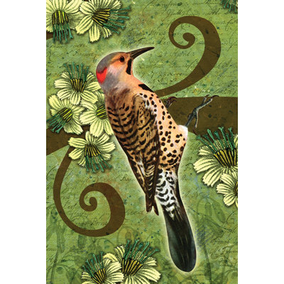 Flicker Garden flag Toland Home Garden