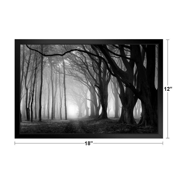 Picture Poster Art Woods Framed Print Black & White Dark Eerie Gothic Forest 