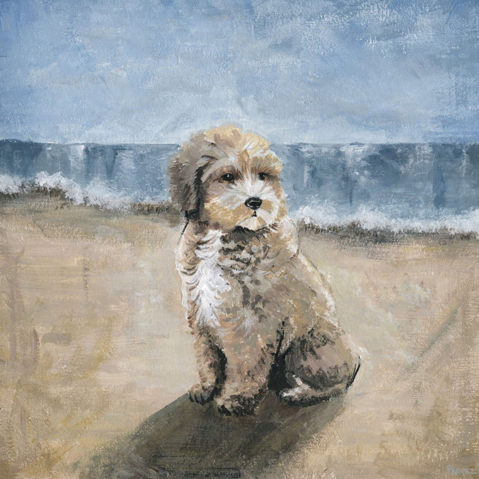 Highland Dunes Dog By The Beach By Parvez Taj Painting Print On