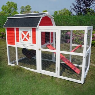 Wayfair | Chicken Coops You'll Love in 2022