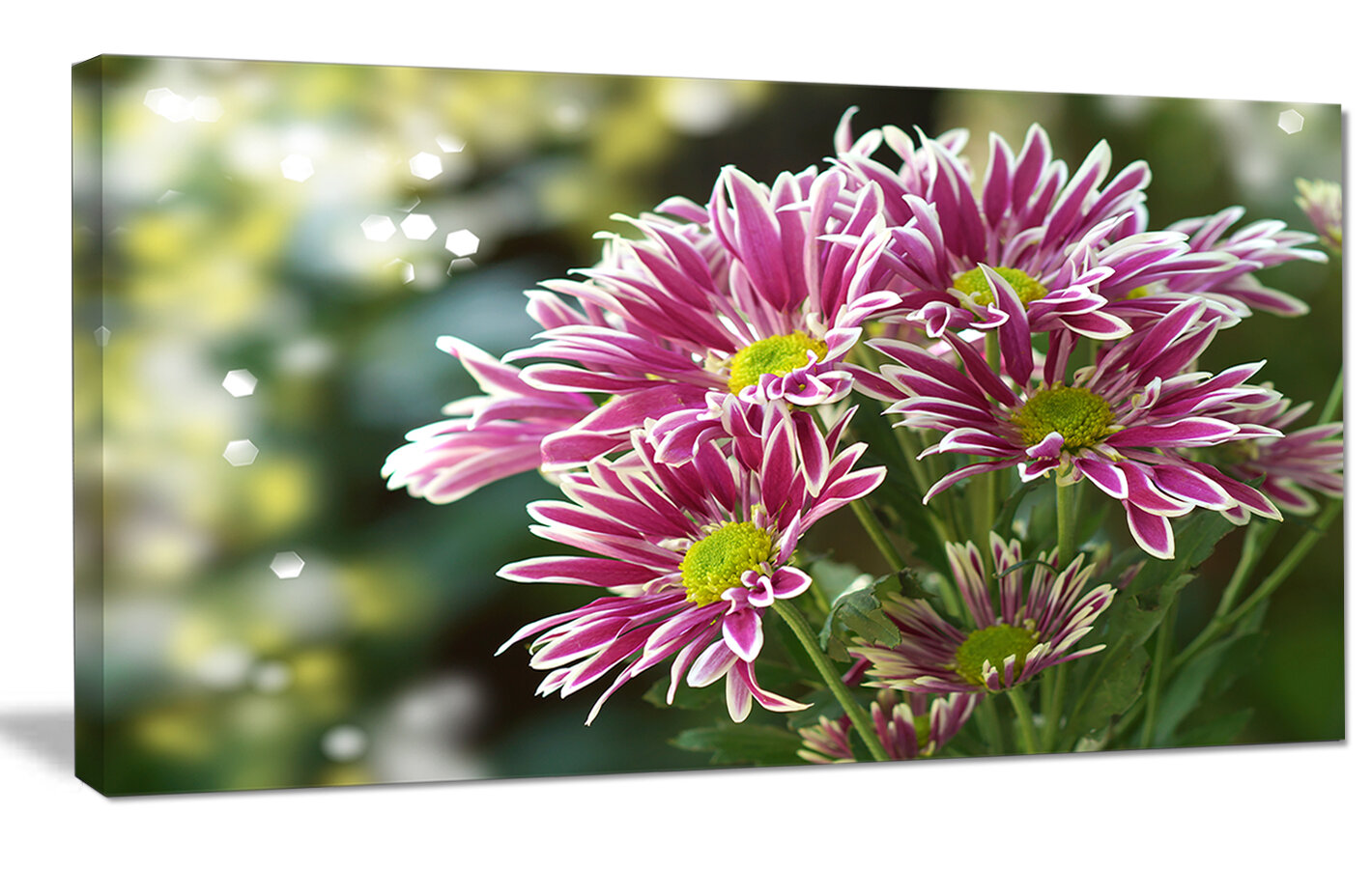 Designart Purple Chrysanthemum Flower Photographic Print On Wrapped Canvas