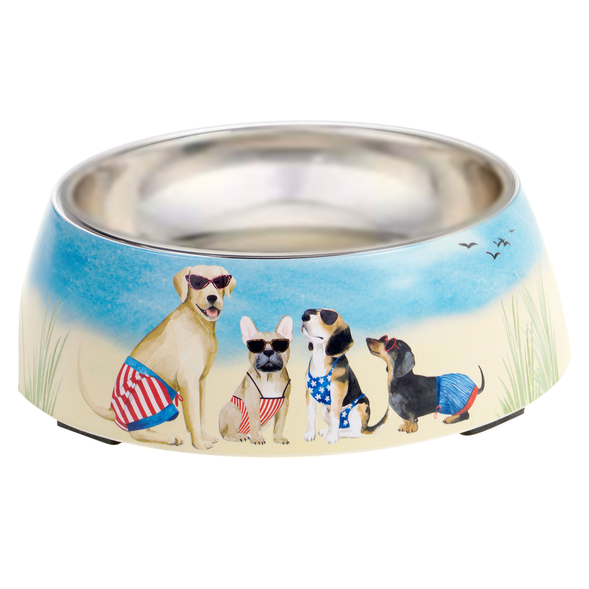 dog bowl insert