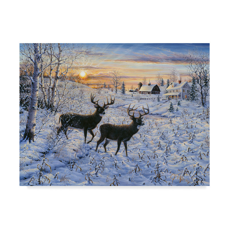 Trademark Art Two Deer In The Moonlight Graphic Art Print On Wrapped Canvas Wayfair