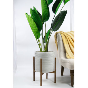 Ceramic Yellow Planters You Ll Love In 2021 Wayfair
