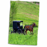 Horse Stuff Wayfair