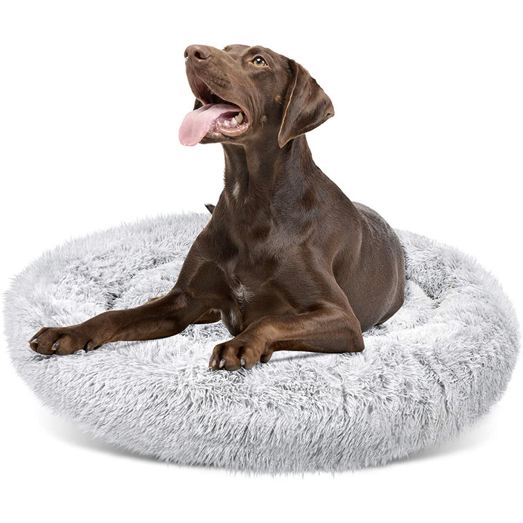 extra extra large dog beds