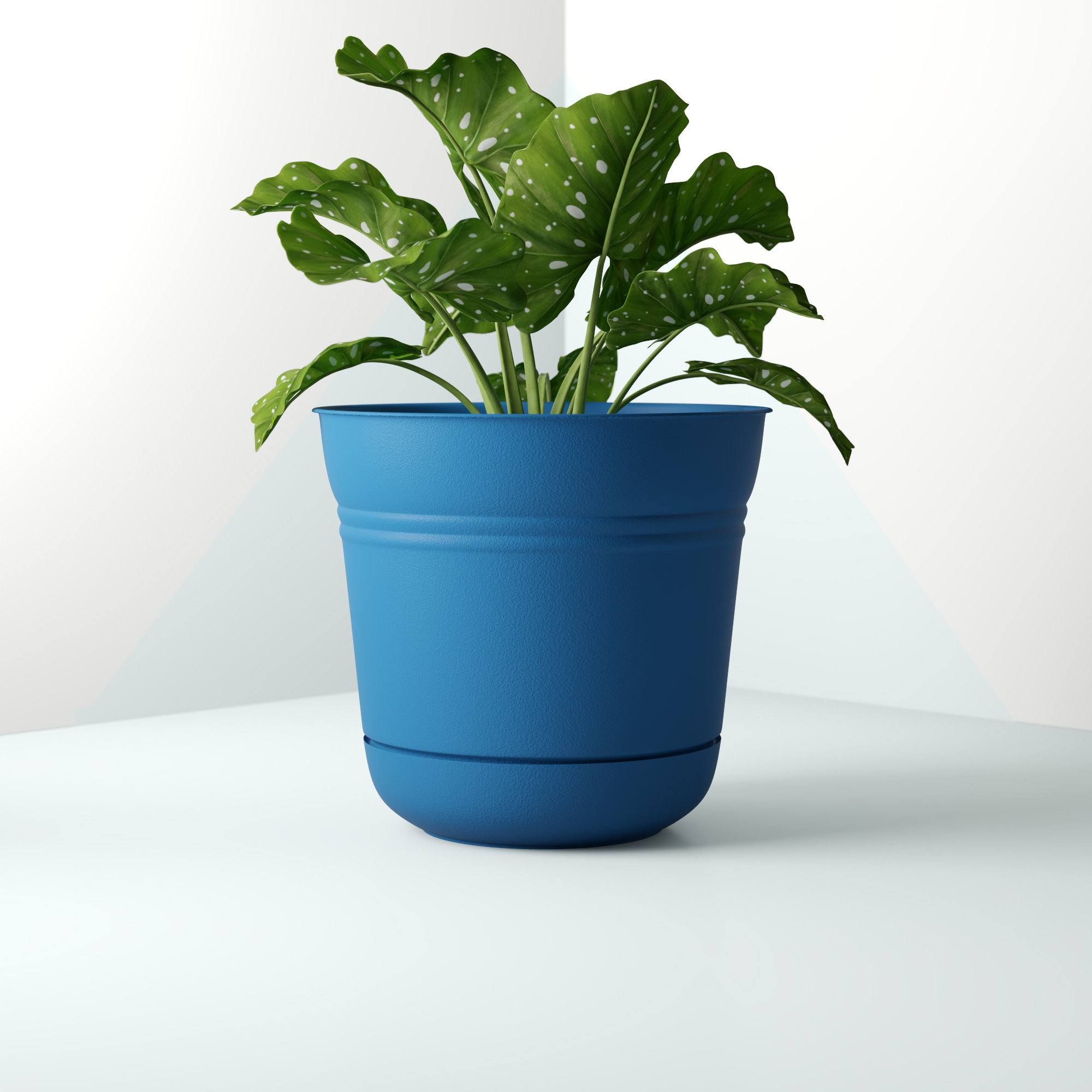 Hashtag Home Dundee Plastic Pot Planter Reviews Wayfair Hashtag Home Dundee Plastic Pot Planter