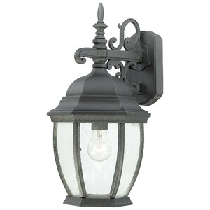 Covington 1-Light Outdoor Wall Lantern