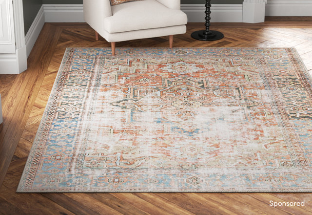 Snag Steals on Area Rugs