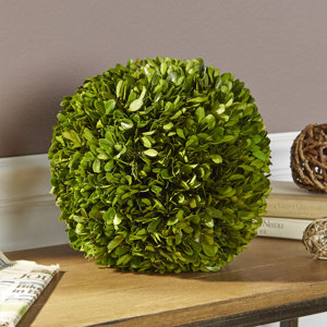 Preserved Boxwood Ball Decor