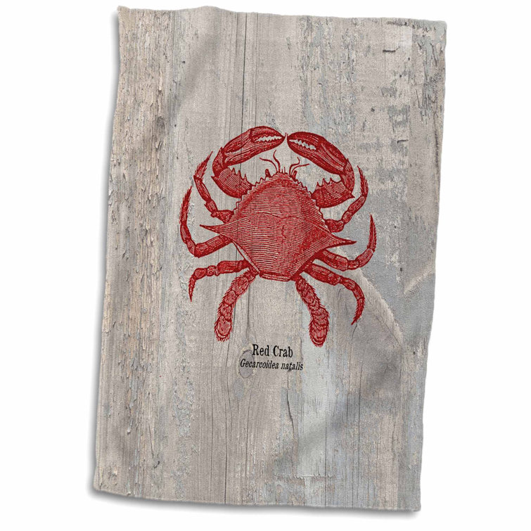 Symple Stuff Kalgoorlie Beach Themed Art Hand Towel Wayfair