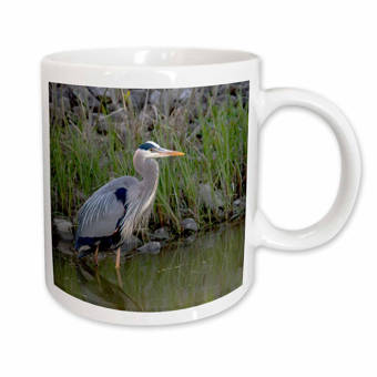 East Urban Home South Padre Island Texas Baltimore Oriole Bird Coffee Mug Wayfair