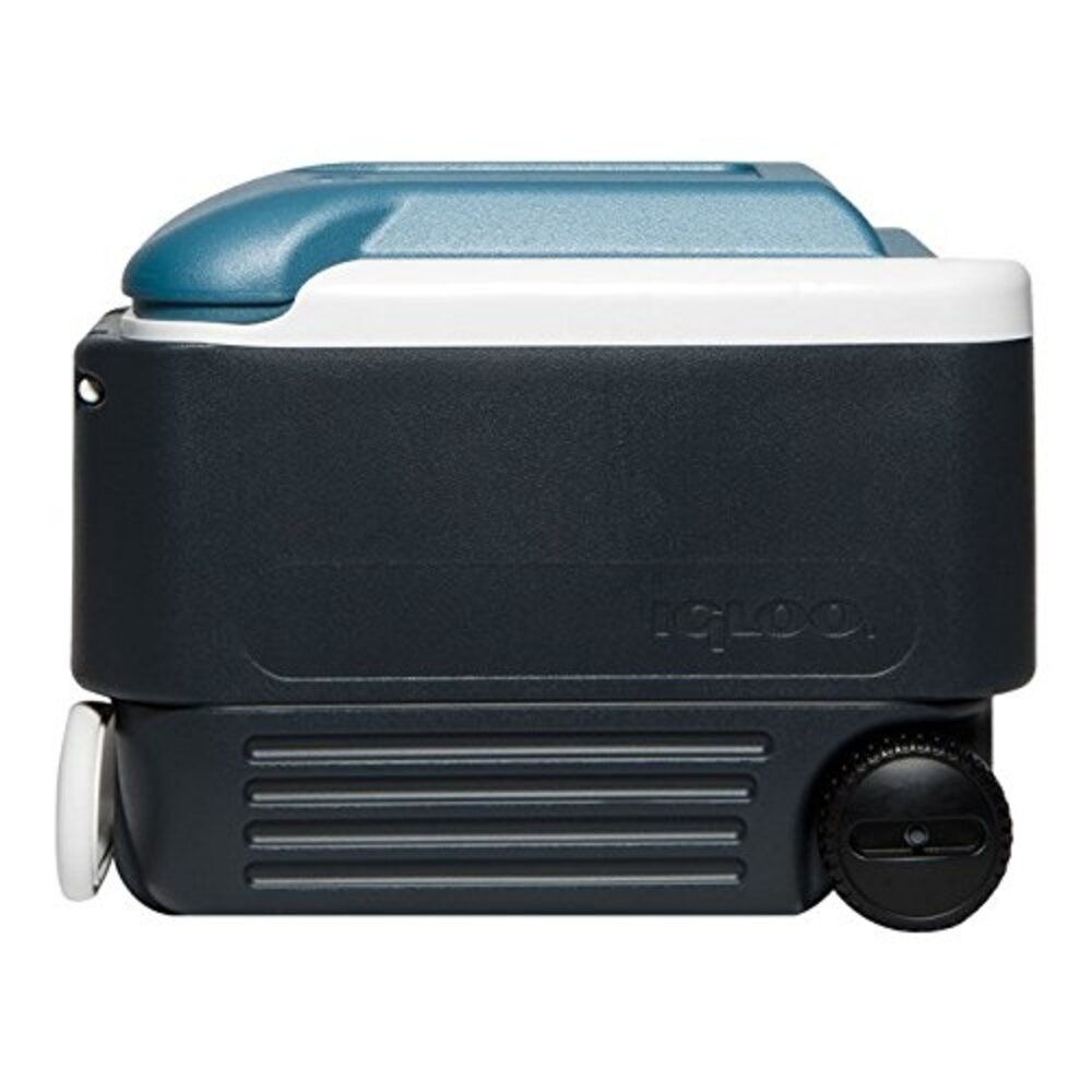 Igloo 40 Qt. Maxcold Rolling Cooler & Reviews | Wayfair