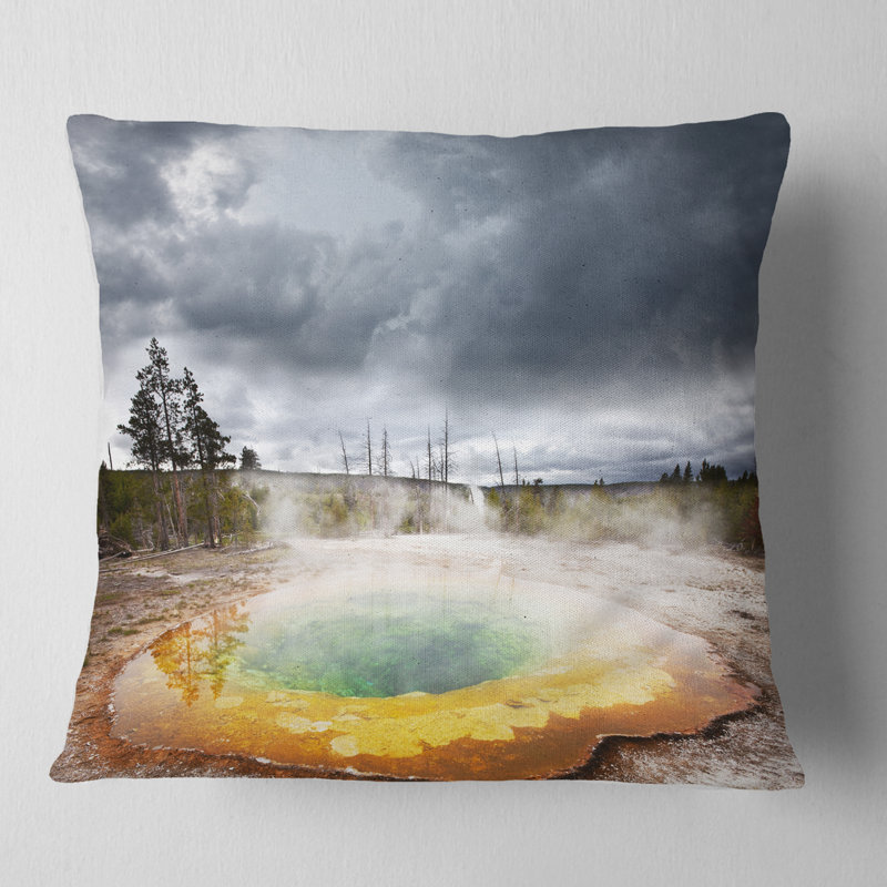 East Urban Home Landscape Fantastic Morning Glory Pool Landscape Printed Pillow Wayfair