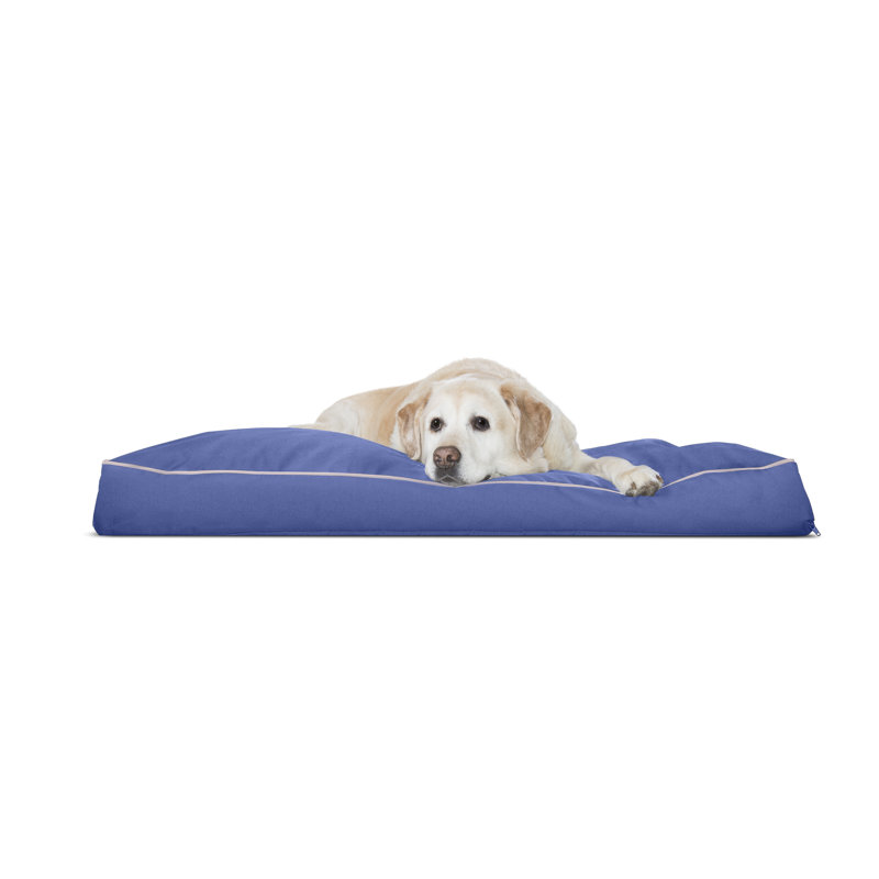 wayfair pet beds