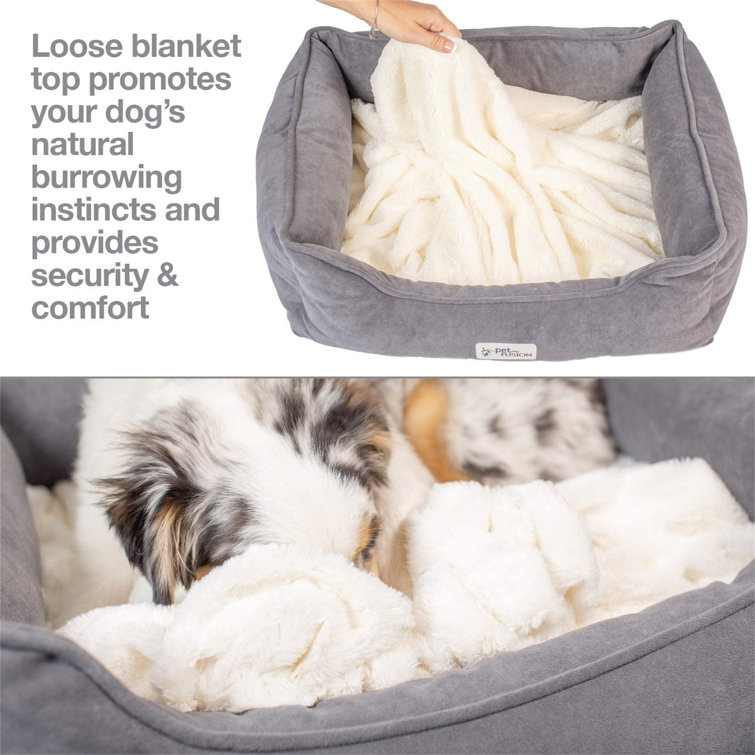 dog kneading blanket