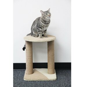 Recycled Paper Rope Cat Perch