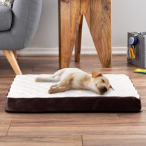 dog floor pillow