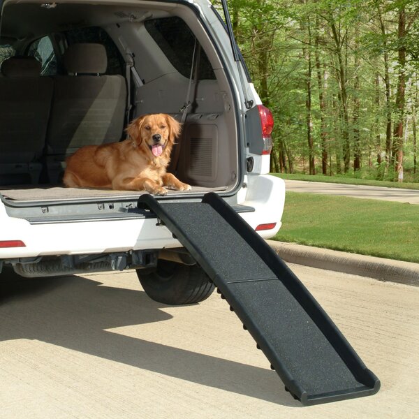 Indoor Dog Ramps Wayfair