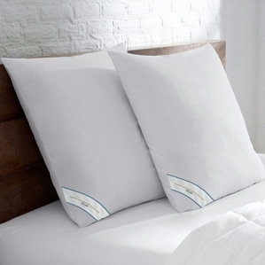 Premium Square Down Alternative European Pillow (Set of 2) by Alwyn Home
