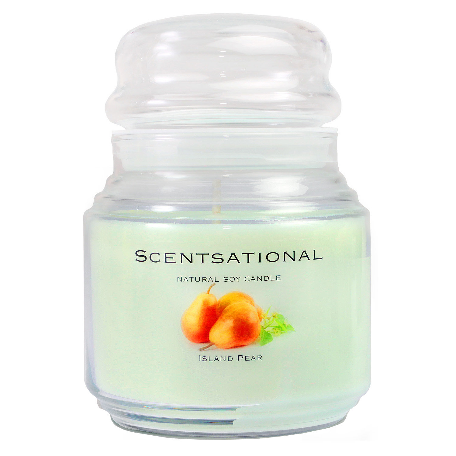 SCENTSATIONAL NATURAL SOY CANDLE Wayfair