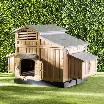 Innovation Pet Coops Feathers Country Chicken Coop With Chicken