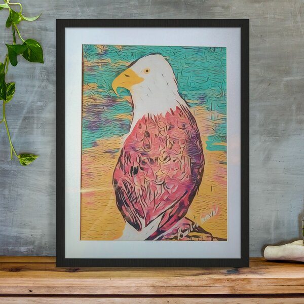 Bald Eagle photography print