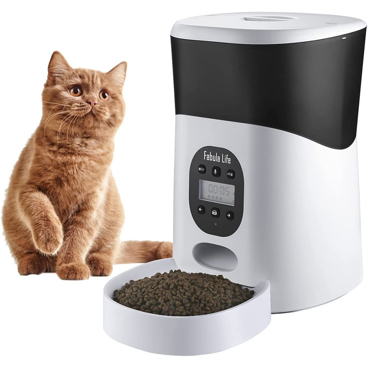 dual automatic cat feeder