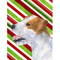 Jack Russell Terrier Wayfair