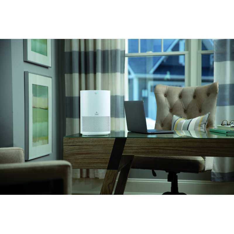 Bissell Myair Air Purifier With Hepa Filter Reviews Wayfair