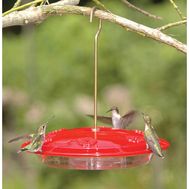 Aspects Inc Hummzinger Excel Hummingbird Feeder Reviews Wayfair