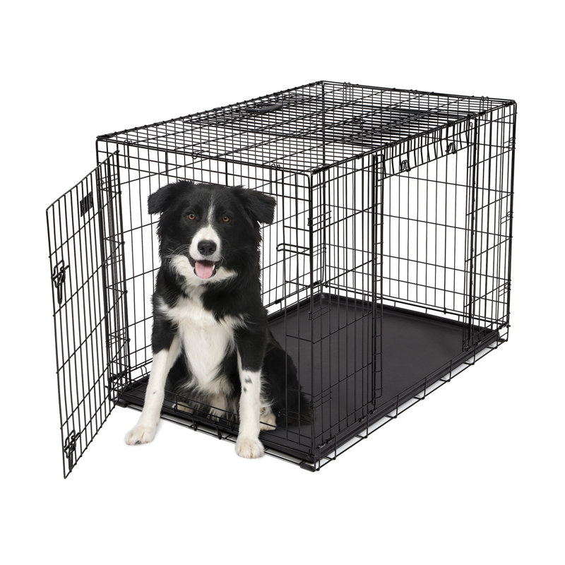 ovation trainer double door crate