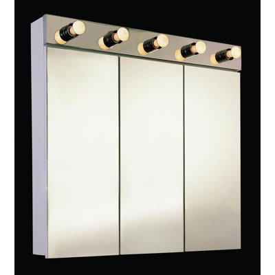 Ryley 60" x 40" Surface Mount Frameless Medicine Cabinet and Lighting