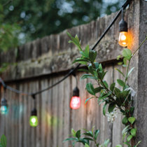 UL 13.5 Feet Long 70 Double Light 2 Tone Color Purple Green Christmas Lights QZ 